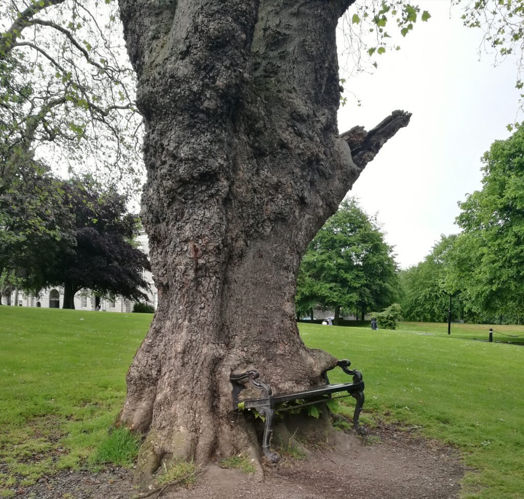 Roteiros de viagem, roteiros personalizados