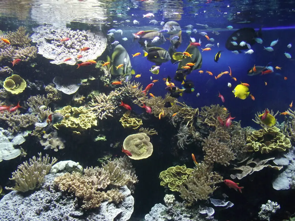 Roteiros de viagem, roteiros personalizados