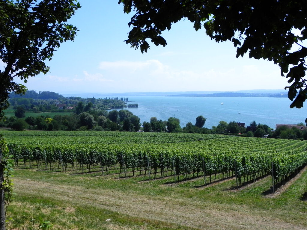 Roteiros de viagem, roteiros personalizados