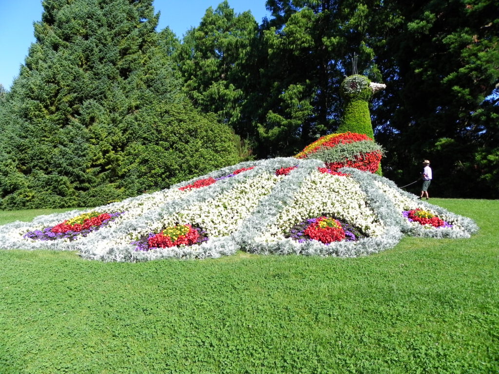 Roteiros de viagem, roteiros personalizados