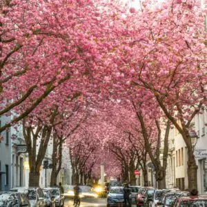 Roteiros de viagem, roteiros personalizados