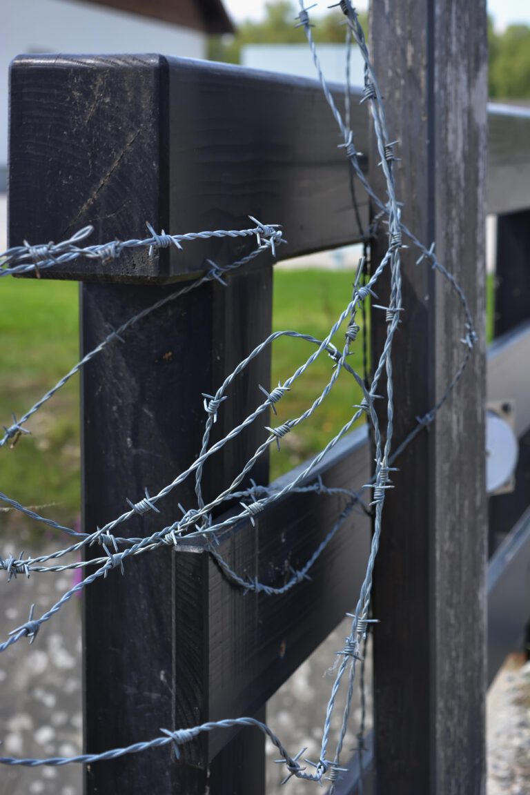 Roteiros de viagem, roteiros personalizados